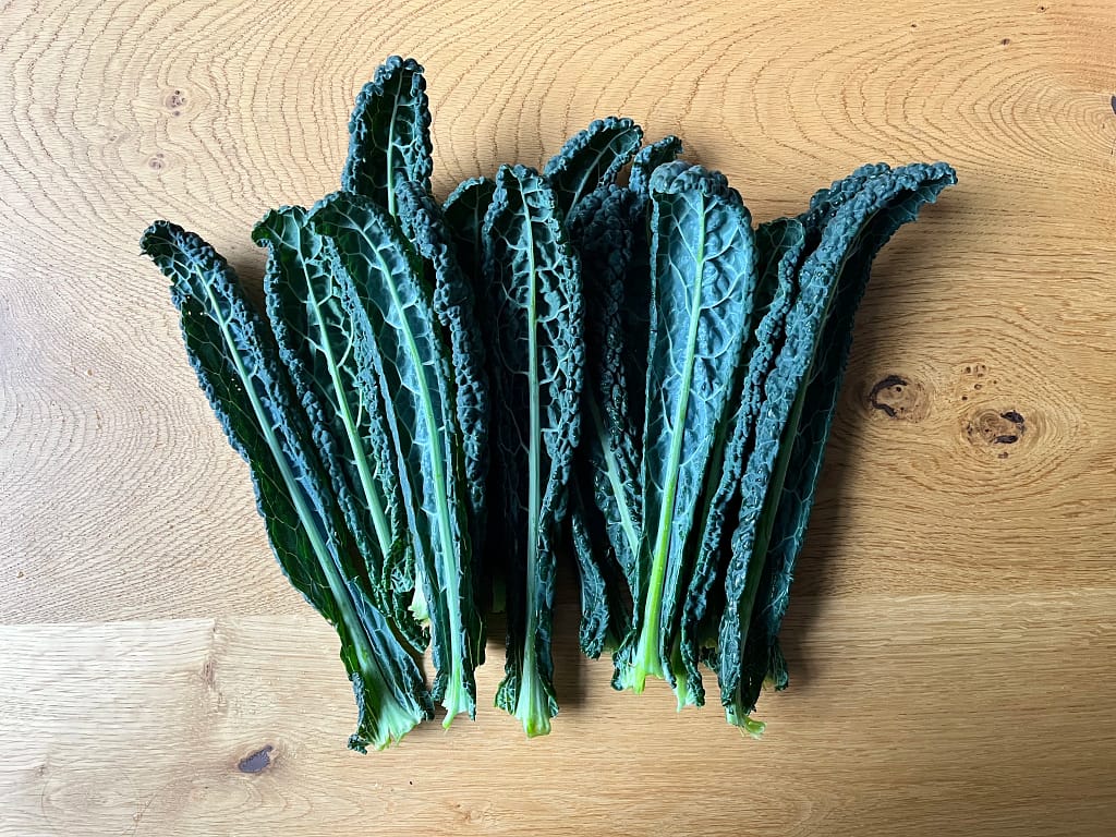 Seizoensgroente december: Palmkool / cavolo nero 