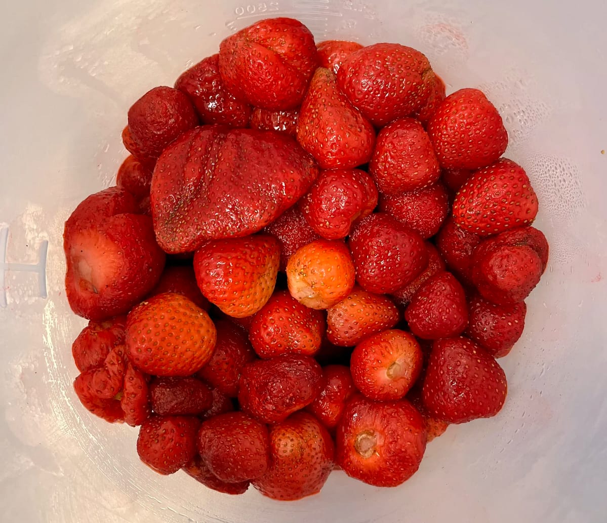aardbeien