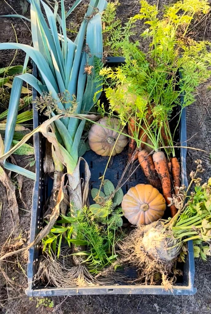 Slow living: Lokaal eten