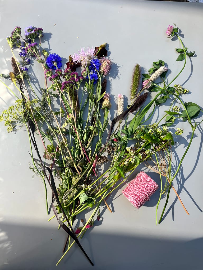 Leren Droogbloemen Maken