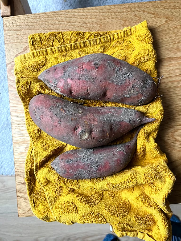 zoete aardappelen uit de moestuin