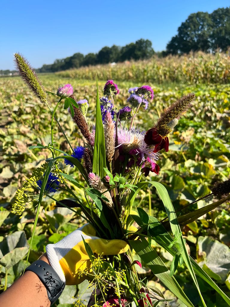 Bloemen uitkiezen om te drogen 