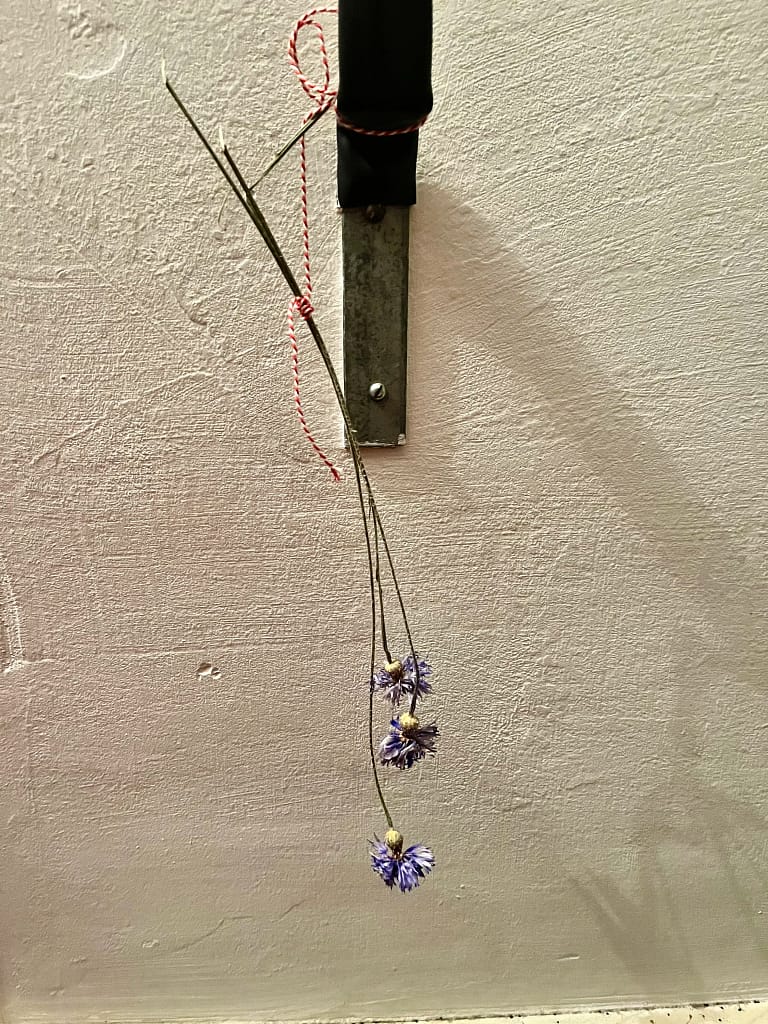 Korenbloemen drogen