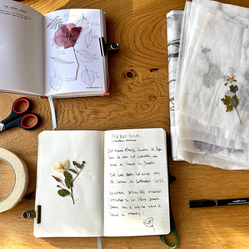 Geperste bloemen met bijschrift